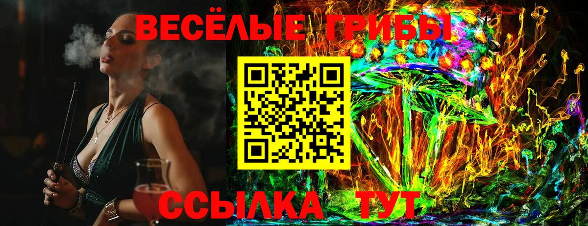 Псилоцибиновые грибы мухоморы Рубцовск