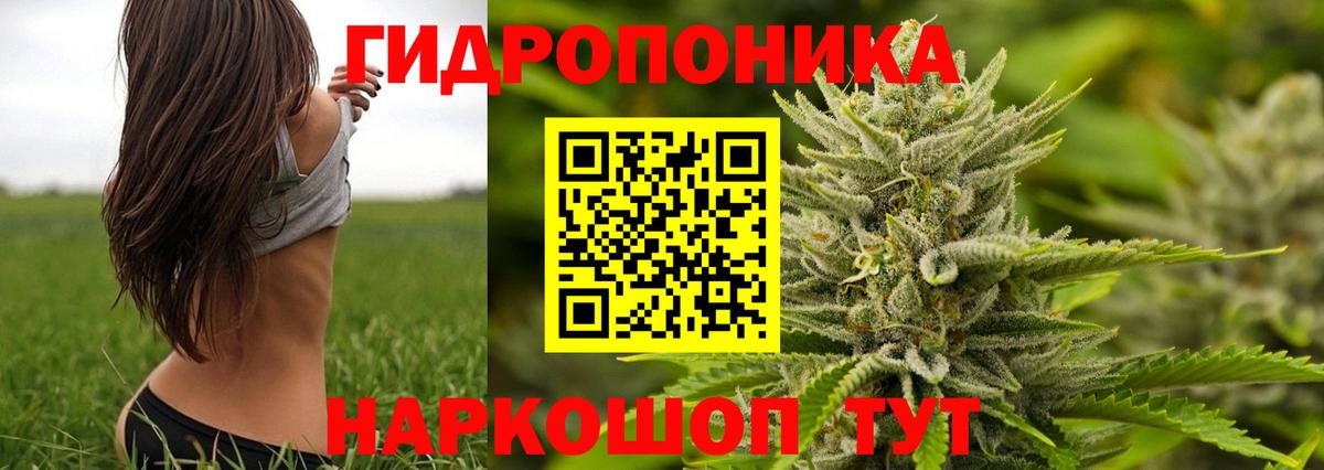 Канабис Ganja Рубцовск